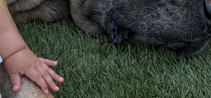 Millie Bobby Brown Shares Rare Photo of Her Daughter—and It's Paws-itively Adorable 1