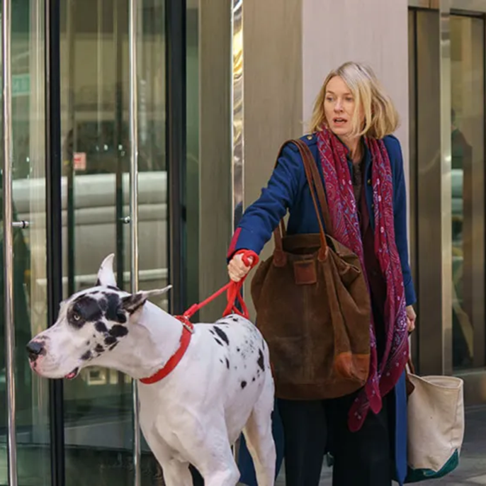 Bill Murray and Naomi Watts Bond Over a Great Dane in ‘The Friend’ Trailer