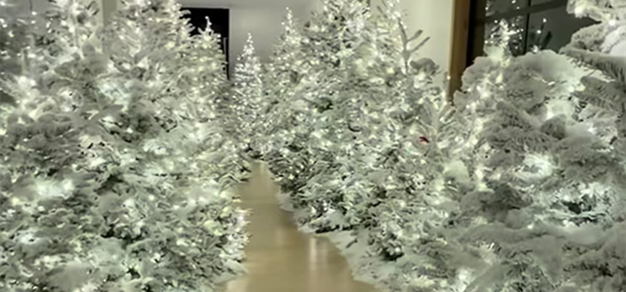 Kim Kardashian Unveils 