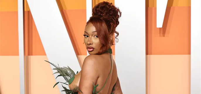 Megan Thee Stallion Leaves Little To The Imagination With Her 