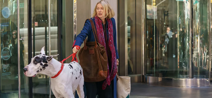 Bill Murray and Naomi Watts Bond Over a Great Dane in ‘The Friend’ Trailer 1