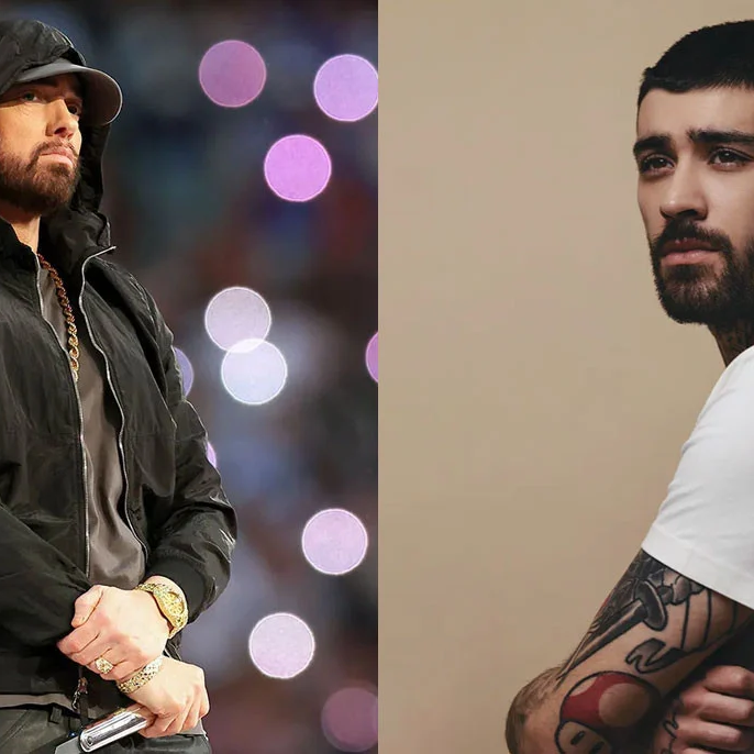 Zayn Malik believes there are strong 'similarities' between him and Eminem