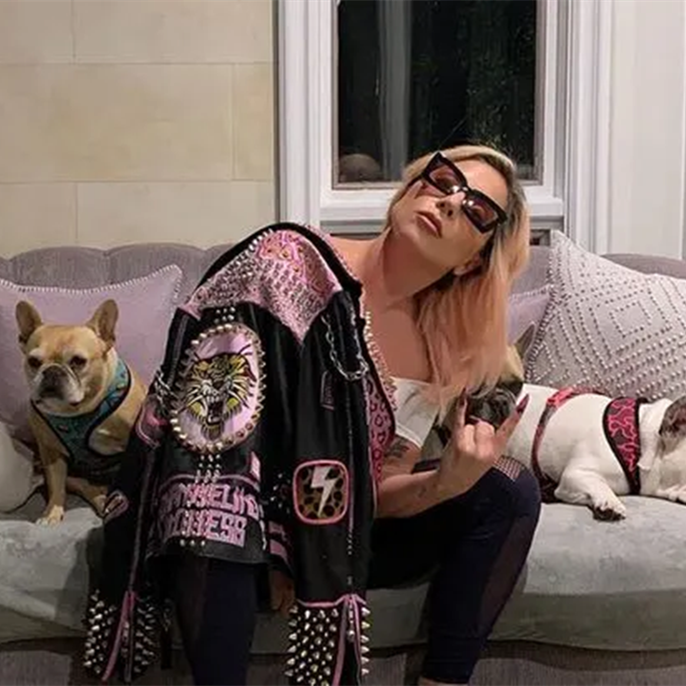 Lady Gaga Introduces New Pup 3 Years After Dognapping Case Involving Her French Bulldogs