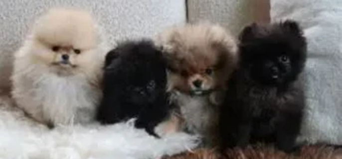 Kim Kardashian under fire for giving unexpected Christmas gifts to kids 1