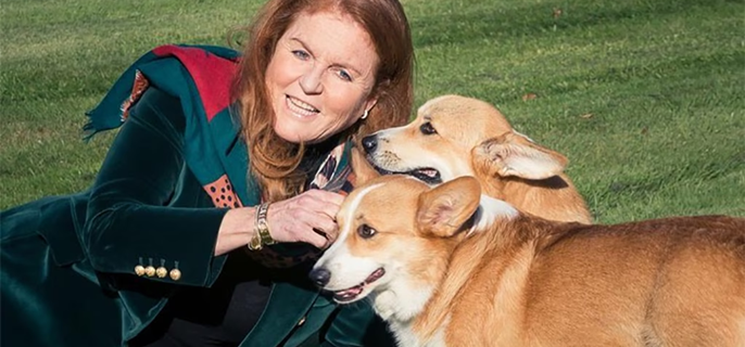 Sarah Ferguson’s Rep Clarifies Rumor She Cloned Queen Elizabeth II’s Corgis 1