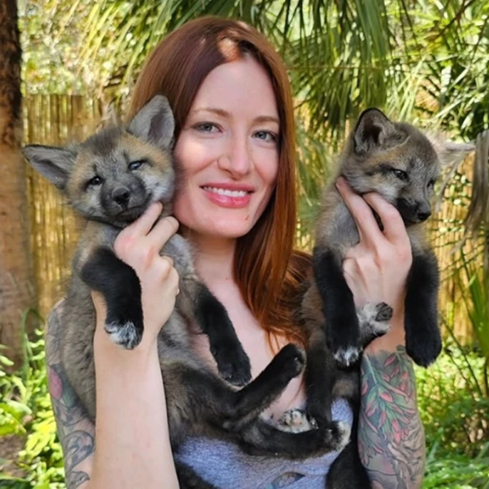 YouTuber Mikayla Raines, founder of Save A Fox, dies by suicide after online harassment