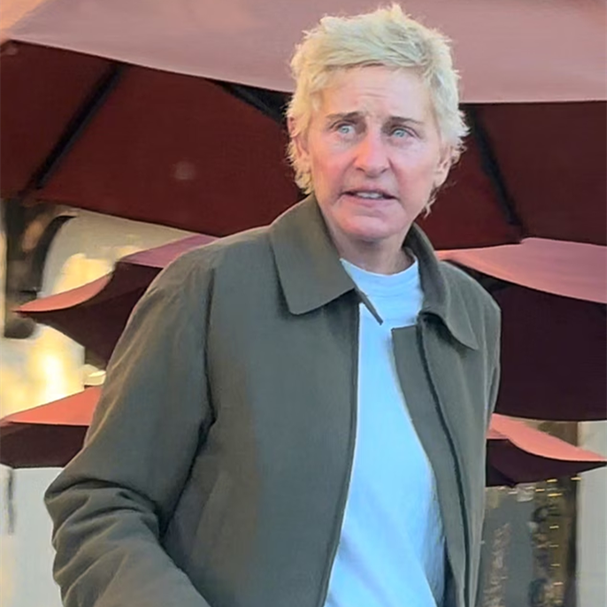 Ellen DeGeneres Debuts Blonde Look a Year After Gray Hair Transformation