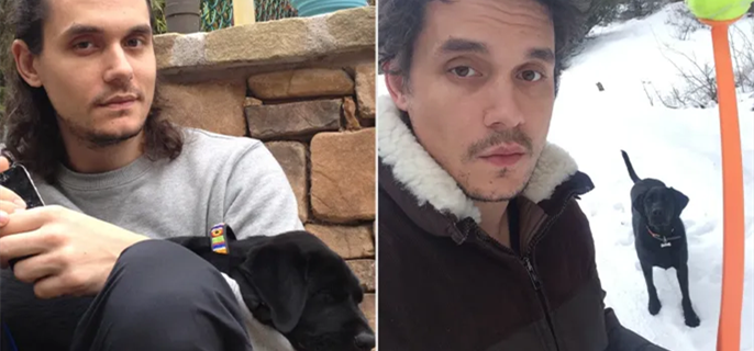 John Mayer Mourns Loss of Dog Moose, 14, Who Was Featured on His Album Cover: 'My Heart Is So Heavy' 1