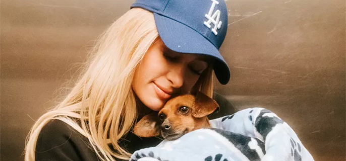 Paris Hilton volunteers at Pasadena Humane Society after wildfires destroy home 1