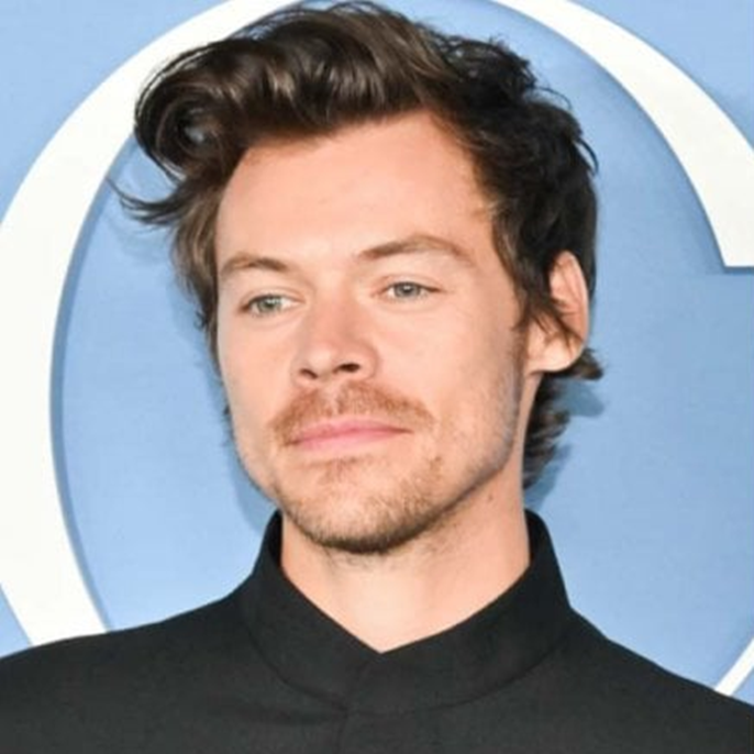 Harry Styles receives shocking warning over Zoe Kravitz romance