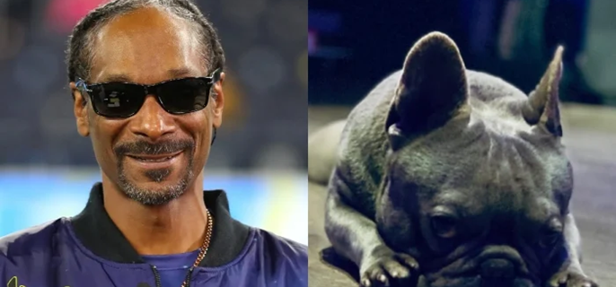 Snoop Dogg mourns death of french bulldog Juelz 1