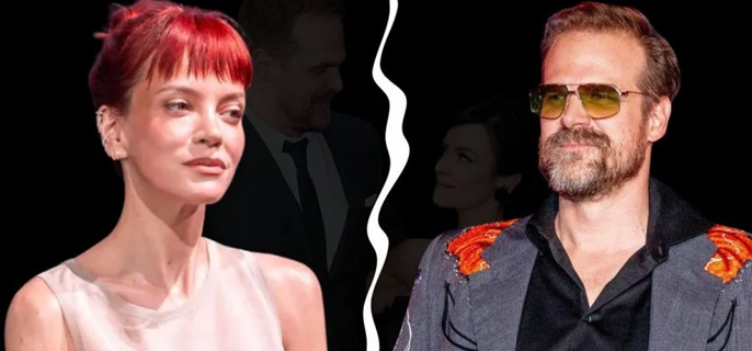 David Harbour’s ex faced extreme humiliation at Lily Allen’s producer's birthday bash 1