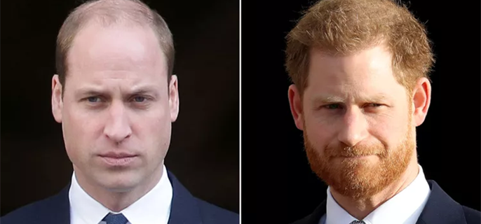 Prince Harry and Prince William's Cousin, 20, Found Dead with Gun Nearby: Report 1