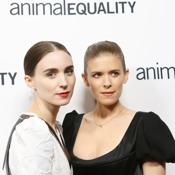 Rooney and Kate Mara to Star in Werner Herzog’s New Movie Bucking Fastard